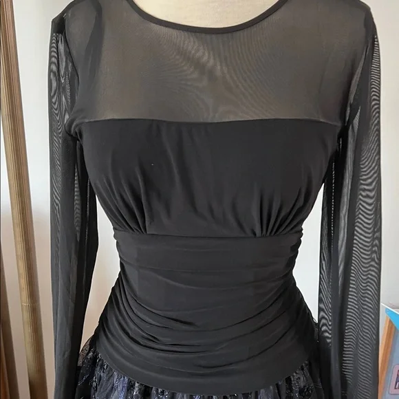 Elegant Black Mesh Long Sleeve Dress NWT - Picture 2 of 7